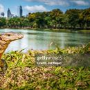 A Walk in Benjakitti Park & Lumpini Park's picture