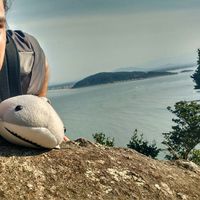 Acácio Rodrigues's Photo