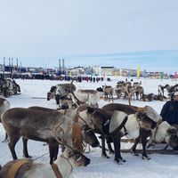 Fotos de Aleksey Mikhaylusov