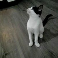 Jenny Gómez's Photo