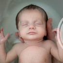 Milieu de vie's picture