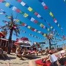 Beach Hangout bloemendaal's picture