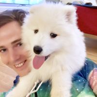 Sindre Sorhus的照片