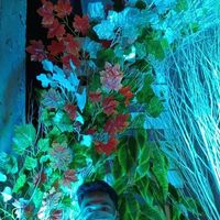 Christian Dula's Photo