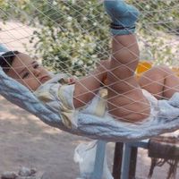 Matías  Meza's Photo