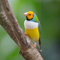 Nader Ismail's Photo