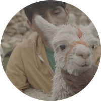 Elwin Huaman's Photo