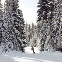 Blair  Kennedy's Photo