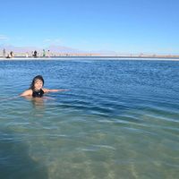 Flor de Río Fluye的照片