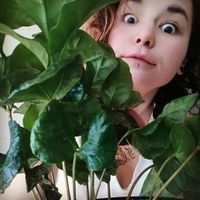 Manon Socrate的照片