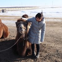 Фотографии пользователя Mei Ito