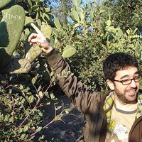 Stratos Tsompanopoulos's Photo