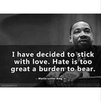 Michelle Tuite的照片