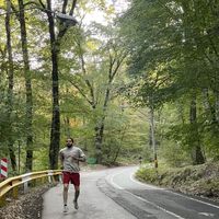 Alireza Dzee's Photo