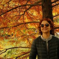 gulseren onder的照片