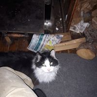 Forest Underwood的照片