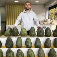 Fotos von Jamie Willcock