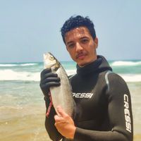 Abdelmajid Maama's Photo