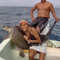 Ilse Aripez的照片