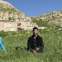 Tayfun Talip Tatar的照片