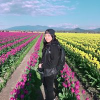 Фотографии пользователя Judy Hong