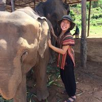 Iris Chiang的照片