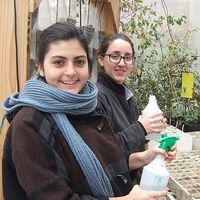 Fotos de Celia Urquidi