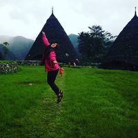 Sinta Novratilova的照片