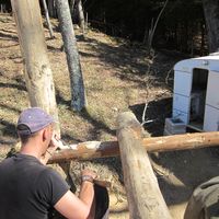 Saul Del Campo的照片