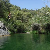 Emilio Cobos's Photo