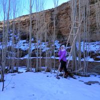 Фотографии пользователя zora bibriden