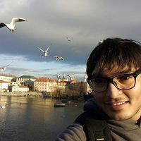 Le foto di Allen Franci