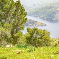 Mohmad A. Maalwani的照片