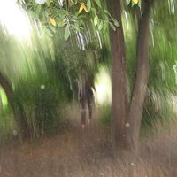 Photos de Nicole Ath