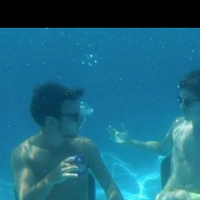 Alexandre Rheins的照片