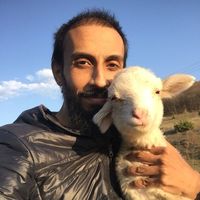 Jehad Alamasi's Photo