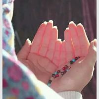 Abeer Moustafa's Photo