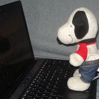 Carlos Flores的照片