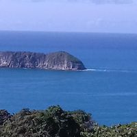 David Ceciliano's Photo