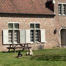 New Years Eve At The Farm's picture