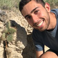 Matthew Mansour的照片