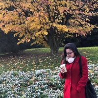 Julia Prata的照片