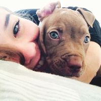 Brenda Rodrigues的照片