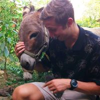 Fotos de Michael Yonkovig