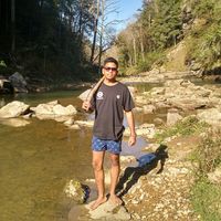 abhishek pathak的照片