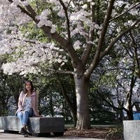 Anita Kneisler's Photo