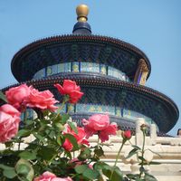 Stephen Neafsey's Photo