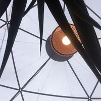 Δήμητρα Παπανικολάου的照片