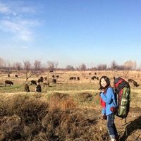 Анастасия Борисова's Photo