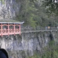 anelisa cavamura de alvarenga的照片